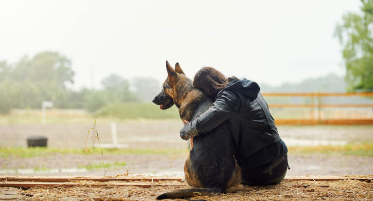 Tjej kramar sin äldre hund