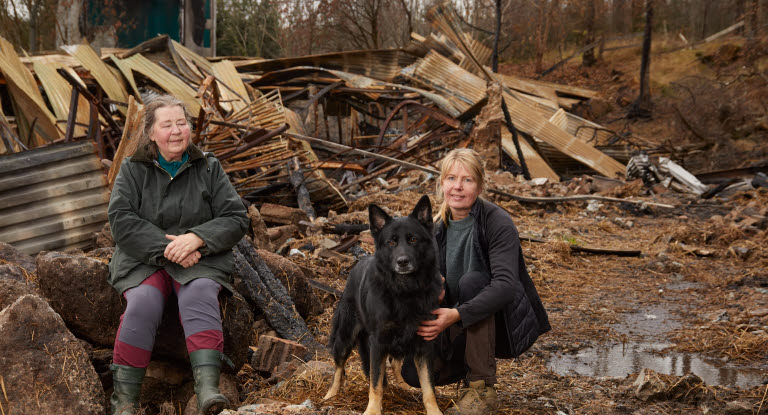 Årets bragdhund 2024, Otiz, räddade livet på över hundra nötkreatur.