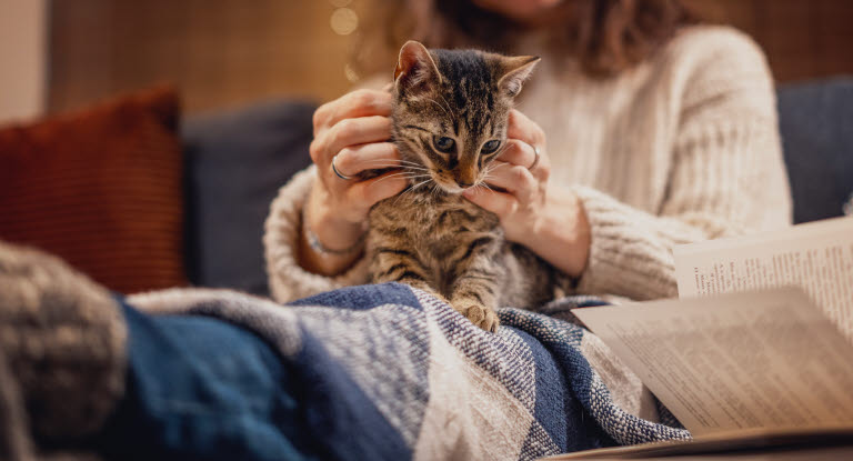 När en katt trampar i ditt knä, utför den ett beteende som den återanvänder från sin tid som kattunge. 