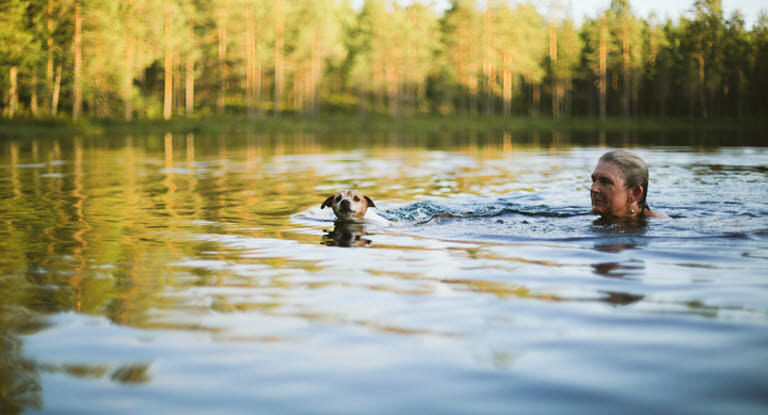 Hund som simmar med sin matte 